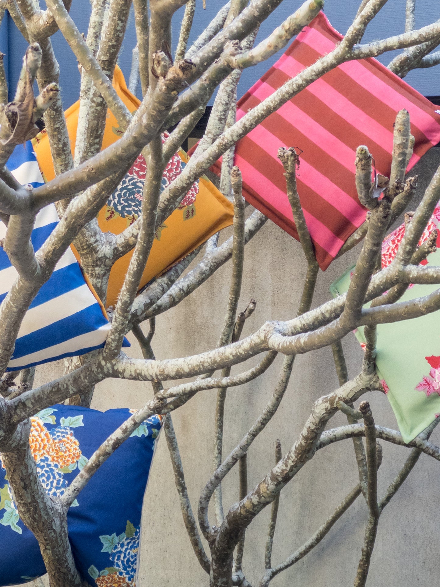 Outdoor Cushions in Lisa Corti Fabric