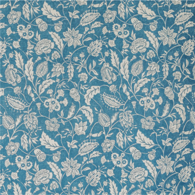 Otilly and Lewis, Antionette Poisson Indiane Blue