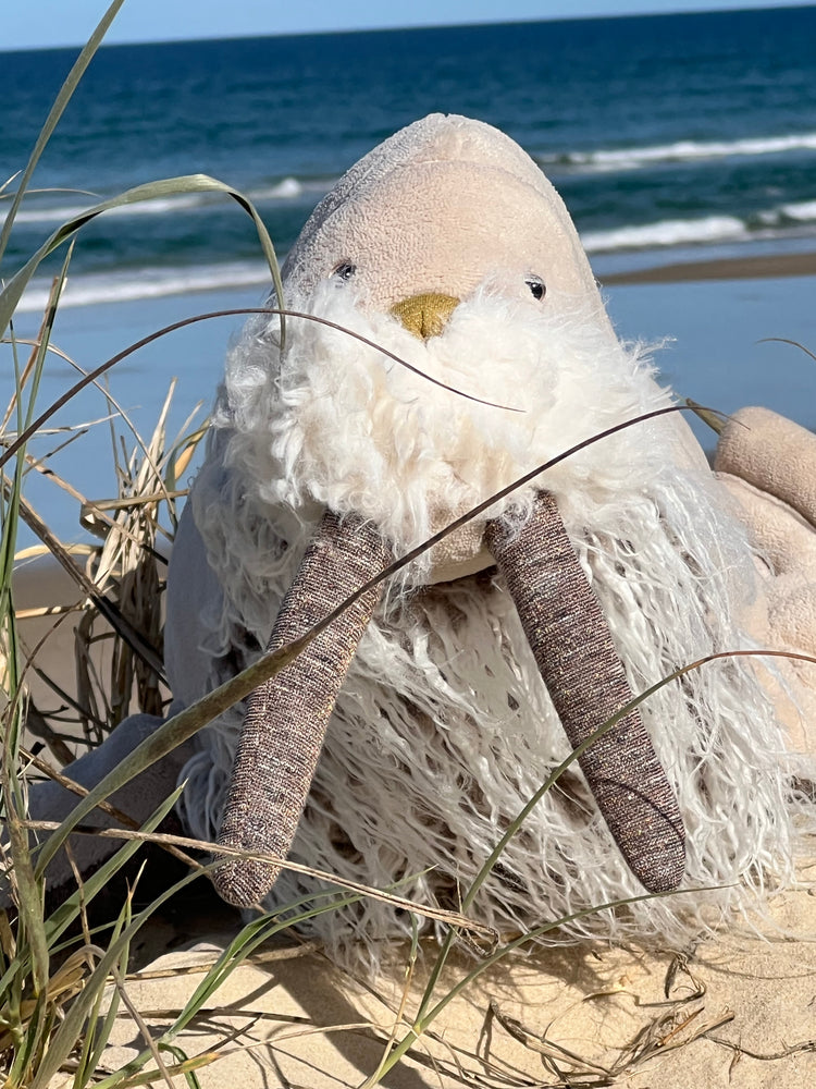 Moulin Roty