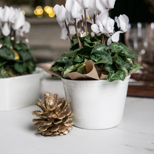 Medium Salad Bowl, Louis XVI